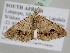  ( - BC ZSM Lep 105801)  @12 [ ] CreativeCommons - Attribution Non-Commercial Share-Alike (2019) SNSB, Staatliche Naturwissenschaftliche Sammlungen Bayerns ZSM (SNSB, Zoologische Staatssammlung Muenchen)