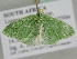  ( - BC ZSM Lep 105851)  @11 [ ] CreativeCommons - Attribution Non-Commercial Share-Alike (2019) SNSB, Staatliche Naturwissenschaftliche Sammlungen Bayerns ZSM (SNSB, Zoologische Staatssammlung Muenchen)