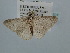  ( - BC ZSM Lep 106707)  @11 [ ] CreativeCommons - Attribution Non-Commercial Share-Alike (2019) SNSB, Staatliche Naturwissenschaftliche Sammlungen Bayerns ZSM (SNSB, Zoologische Staatssammlung Muenchen)