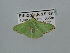  ( - BC ZSM Lep 106710)  @12 [ ] CreativeCommons - Attribution Non-Commercial Share-Alike (2019) SNSB, Staatliche Naturwissenschaftliche Sammlungen Bayerns ZSM (SNSB, Zoologische Staatssammlung Muenchen)