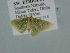  ( - BC ZSM Lep 106717)  @11 [ ] CreativeCommons - Attribution Non-Commercial Share-Alike (2019) SNSB, Staatliche Naturwissenschaftliche Sammlungen Bayerns ZSM (SNSB, Zoologische Staatssammlung Muenchen)