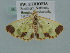  ( - BC ZSM Lep 106730)  @11 [ ] CreativeCommons - Attribution Non-Commercial Share-Alike (2019) SNSB, Staatliche Naturwissenschaftliche Sammlungen Bayerns ZSM (SNSB, Zoologische Staatssammlung Muenchen)
