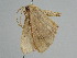  ( - BC ZSM Lep 108658)  @11 [ ] CreativeCommons - Attribution Non-Commercial Share-Alike (2020) SNSB, Staatliche Naturwissenschaftliche Sammlungen Bayerns ZSM (SNSB, Zoologische Staatssammlung Muenchen)