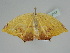  ( - BC ZSM Lep 109357)  @11 [ ] CreativeCommons - Attribution Non-Commercial Share-Alike (2020) SNSB, Staatliche Naturwissenschaftliche Sammlungen Bayerns ZSM (SNSB, Zoologische Staatssammlung Muenchen)