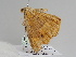  ( - BC ZSM Lep 109369)  @11 [ ] CreativeCommons - Attribution Non-Commercial Share-Alike (2020) SNSB, Staatliche Naturwissenschaftliche Sammlungen Bayerns ZSM (SNSB, Zoologische Staatssammlung Muenchen)