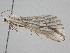  ( - BC ZSM Lep 110629)  @11 [ ] CreativeCommons - Attribution Non-Commercial Share-Alike (2020) SNSB, Staatliche Naturwissenschaftliche Sammlungen Bayerns ZSM (SNSB, Zoologische Staatssammlung Muenchen)