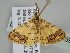  ( - BC ZSM Lep 108759)  @11 [ ] CreativeCommons - Attribution Non-Commercial Share-Alike (2020) SNSB, Staatliche Naturwissenschaftliche Sammlungen Bayerns ZSM (SNSB, Zoologische Staatssammlung Muenchen)