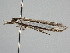  ( - BC ZSM Lep 110189)  @11 [ ] CreativeCommons - Attribution Non-Commercial Share-Alike (2020) SNSB, Staatliche Naturwissenschaftliche Sammlungen Bayerns ZSM (SNSB, Zoologische Staatssammlung Muenchen)