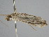  ( - BC ZSM Lep 111322)  @11 [ ] CreativeCommons - Attribution Non-Commercial Share-Alike (2020) SNSB, Staatliche Naturwissenschaftliche Sammlungen Bayerns ZSM (SNSB, Zoologische Staatssammlung Muenchen)