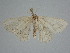  ( - BC ZSM Lep 111578)  @11 [ ] by-nc-sa (2020) SNSB, Staatliche Naturwissenschaftliche Sammlungen Bayerns ZSM (SNSB, Zoologische Staatssammlung Muenchen)