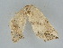  ( - BC ZSM Lep 112279)  @11 [ ] by-nc-sa (2020) SNSB, Staatliche Naturwissenschaftliche Sammlungen Bayerns ZSM (SNSB, Zoologische Staatssammlung Muenchen)