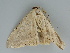  ( - BC ZSM Lep 112430)  @12 [ ] by-nc-sa (2020) SNSB, Staatliche Naturwissenschaftliche Sammlungen Bayerns ZSM (SNSB, Zoologische Staatssammlung Muenchen)