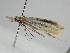  ( - BC_ZSM_Lep_115667)  @11 [ ] by-nc-sa (2022) SNSB, Staatliche Naturwissenschaftliche Sammlungen Bayerns ZSM (SNSB, Zoologische Staatssammlung Muenchen)