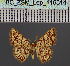  ( - BC_ZSM_Lep_116514)  @11 [ ] by-nc-sa (2023) SNSB, Staatliche Naturwissenschaftliche Sammlungen Bayerns ZSM (SNSB, Zoologische Staatssammlung Muenchen)