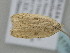  ( - BC_ZSM_Lep_117059)  @11 [ ] by-nc-sa (2023) SNSB, Staatliche Naturwissenschaftliche Sammlungen Bayerns ZSM (SNSB, Zoologische Staatssammlung Muenchen)