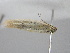  ( - BC_ZSM_Lep_118658)  @11 [ ] by-nc-sa (2023) SNSB, Staatliche Naturwissenschaftliche Sammlungen Bayerns ZSM (SNSB, Zoologische Staatssammlung Muenchen)