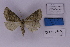  ( - BC_ZSM_Lep_118856)  @11 [ ] by-nc-sa (2023) SNSB, Staatliche Naturwissenschaftliche Sammlungen Bayerns ZSM (SNSB, Zoologische Staatssammlung Muenchen)