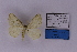  ( - BC_ZSM_Lep_118867)  @11 [ ] by-nc-sa (2023) SNSB, Staatliche Naturwissenschaftliche Sammlungen Bayerns ZSM (SNSB, Zoologische Staatssammlung Muenchen)
