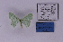  ( - BC_ZSM_Lep_118922)  @11 [ ] by-nc-sa (2023) SNSB, Staatliche Naturwissenschaftliche Sammlungen Bayerns ZSM (SNSB, Zoologische Staatssammlung Muenchen)