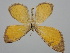  ( - BC_ZSM_Lep_119180)  @11 [ ] by-nc-sa (2023) SNSB, Staatliche Naturwissenschaftliche Sammlungen Bayerns ZSM (SNSB, Zoologische Staatssammlung Muenchen)