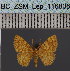  ( - BC_ZSM_Lep_116806)  @11 [ ] by-nc-sa (2024) SNSB, Staatliche Naturwissenschaftliche Sammlungen Bayerns ZSM (SNSB, Zoologische Staatssammlung Muenchen)