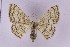  ( - BC_ZSM_Lep_119713)  @11 [ ] by-nc-sa (2024) SNSB, Staatliche Naturwissenschaftliche Sammlungen Bayerns ZSM (SNSB, Zoologische Staatssammlung Muenchen)