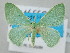  ( - BC_ZSM_Lep_120742)  @11 [ ] by-nc-sa (2025) SNSB, Staatliche Naturwissenschaftliche Sammlungen Bayerns ZSM (SNSB, Zoologische Staatssammlung Muenchen)