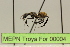  ( - MEPN Troya For 00004)  @13 [ ] Copyright (2012) Adrian Troya MEPN