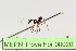  ( - MEPN Troya For 00020)  @11 [ ] Copyright (2012) Adrian Troya MEPN