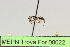  ( - MEPN Troya For 00022)  @11 [ ] Copyright (2012) Adrian Troya MEPN