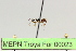  ( - MEPN Troya For 00023)  @11 [ ] Copyright (2012) Adrian Troya MEPN