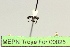  ( - MEPN Troya For 00025)  @11 [ ] Copyright (2012) Adrian Troya MEPN