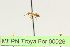  ( - MEPN Troya For 00026)  @11 [ ] Copyright (2012) Adrian Troya MEPN