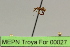  ( - MEPN Troya For 00027)  @11 [ ] Copyright (2012) Adrian Troya MEPN