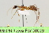  ( - MEPN Troya For 00029)  @11 [ ] Copyright (2012) Adrian Troya MEPN