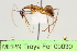  ( - MEPN Troya For 00030)  @11 [ ] Copyright (2012) Adrian Troya MEPN