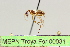  ( - MEPN Troya For 00031)  @11 [ ] Copyright (2012) Adrian Troya MEPN