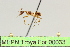  ( - MEPN Troya For 00033)  @11 [ ] Copyright (2012) Adrian Troya MEPN