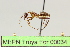  ( - MEPN Troya For 00034)  @11 [ ] Copyright (2012) Adrian Troya MEPN