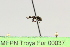  ( - MEPN Troya For 00037)  @11 [ ] Copyright (2012) Adrian Troya MEPN