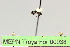  ( - MEPN Troya For 00038)  @11 [ ] Copyright (2012) Adrian Troya MEPN