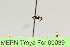  ( - MEPN Troya For 00039)  @11 [ ] Copyright (2012) Adrian Troya MEPN