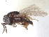  ( - CNC1735856)  @11 [ ] CreativeCommons - Attribution (2021) CBG Photography Group Centre for Biodiversity Genomics