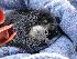  ( - Mono 121)  @11 [ ] Unspecified (default): All Rights Reserved  Unspecified Unspecified