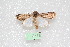  (Agrotis subterranea - MA_LEP24)  @11 [ ] CreativeCommons - Attribution Non-Commercial Share-Alike (2022) Unspecified USGS Pacific Island Ecosystems Research Center