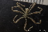  ( - NTNU_76366)  @11 [ ] Creative Commons BY NC SA (2020) University of Bergen Natural History Collections