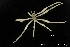  ( - ZMBN_116569)  @11 [ ] Creative Commons BY NC SA (2020) University of Bergen Natural History Collections