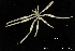  ( - ZMBN_116569)  @11 [ ] Creative Commons BY NC SA (2020) University of Bergen Natural History Collections
