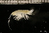  ( - ZMBN_131127)  @11 [ ] Creative Commons BY NC SA (2022) University of Bergen Natural History Collections