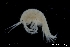  ( - ZMBN_136219)  @11 [ ] Creative Commons BY NC SA (2020) University of Bergen Natural History Collections